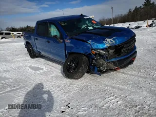 2022 Chevrolet Silverado 1500 Custom Trail Boss with VIN 3GCPDCED1NG581334, listed as a Copart auction lot 43430205 with 36,650 mi miles and Non Repairable. Bid and sale history available at DreamBid. Image 10.