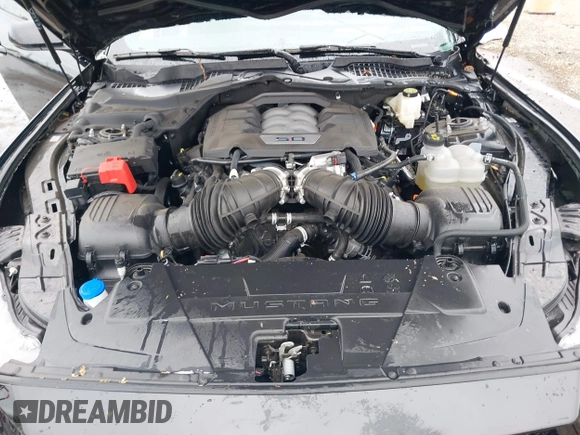 2024 Ford Mustang GT with VIN 1FA6P8CF5R5417110, listed as a IAAI auction lot 41975813 with 5,487 mi miles and . Bid and sale history available at DreamBid. Image 10.