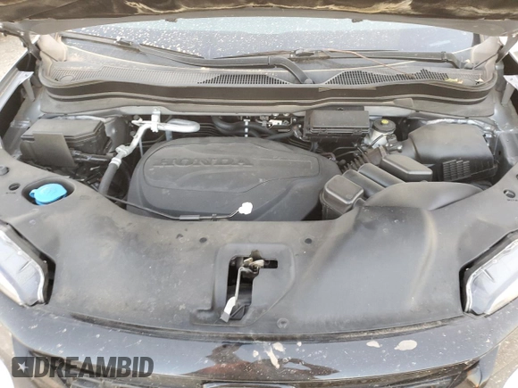 2021 Honda Passport Sport с VIN 5FNYF7H27MB007938, выставлен на аукционе Copart как лот 74926504 с пробегом 61 562 миль миль и Списание • Salvage title. История ставок и продаж доступна на DreamBid. Изображение 12.