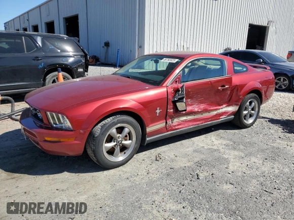 2006 Ford Mustang Standard with VIN 1ZVFT80N365106267, listed as a Copart auction lot 49793925 with Not Provided miles and Salvage Title. Bid and sale history available at carsss.com. Image 1.