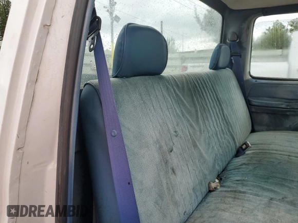 1995 Ford F-150 with VIN 1FTEF15Y4SNB25498, listed as a Copart auction lot 52487565 with 0 mi miles and Clean Title. Bid and sale history available at carsss.com. Image 10.