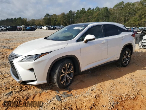 2019 Lexus RX with VIN 2T2BGMCA3KC041534, listed as a Copart auction lot 49729265 with 0 mi miles and Salvage Title. Bid and sale history available at carsss.com. Image 1.