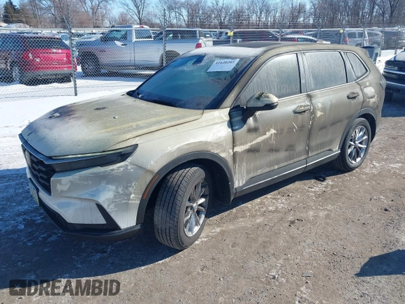 2024 Honda CR-V EX-L with VIN 2HKRS4H74RH453676, listed as a IAAI auction lot 41620203 with 8,806 mi miles. Bid and sale history available at carsss.com. Image 2.