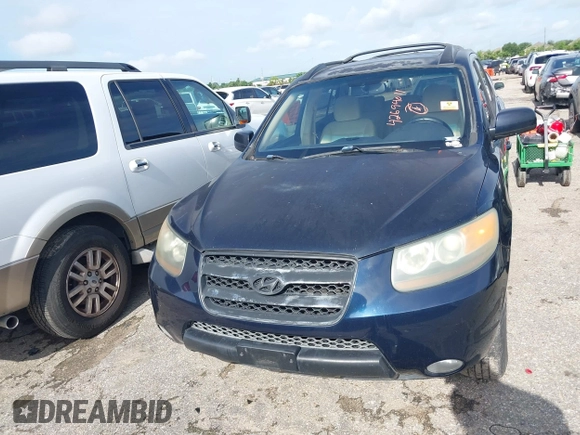 2007 Hyundai Santa Fe SE with VIN 5NMSH13E17H036255, listed as a IAAI auction lot 42694011 with 139,828 mi miles and . Bid and sale history available at DreamBid. Image 10.