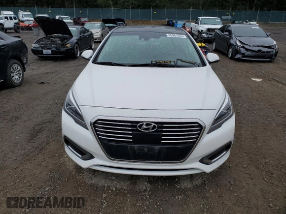 2017 Hyundai Sonata Hybrid Limited with VIN KMHE34L1XHA059244, listed as a Copart auction lot 65961053 with 124,907 mi miles. Bid and sale history available at carsss.com. Image 5.