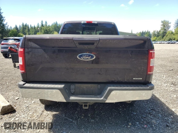2019 Ford F-150 XL with VIN 1FTFW1E4XKKC87851, listed as a Copart auction lot 66417185 with 159,087 mi miles and Clean title. Bid and sale history available at DreamBid. Image 6.