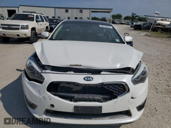 2014 Kia Cadenza Premium with VIN KNALN4D76E5157228, listed as a Copart auction lot 66576294 with 84,541 mi miles and Salvage Title. Bid and sale history available at carsss.com. Image 5.