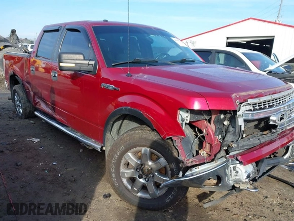 2013 Ford F-150 XL with VIN 1FTFW1EF1DFA78429, listed as a IAAI auction lot 41119527 with 280,736 mi miles. Bid and sale history available at carsss.com. Image 1.