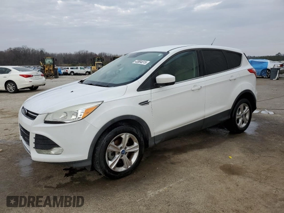 2013 Ford Escape SE with VIN 1FMCU0GX8DUA80369, listed as a Copart auction lot 43804515 with 125,264 mi miles and Salvage Title. Bid and sale history available at DreamBid. Image 1.