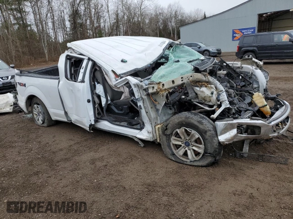 2020 Ford F-150 XL with VIN 1FTEX1EB3LFC83044, listed as a Copart auction lot 81478844 with 179,461 mi miles and Non Repairable. Bid and sale history available at carsss.com. Image 4.