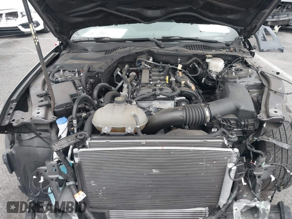 2022 Ford Mustang EcoBoost with VIN 1FA6P8TH2N5135583, listed as a IAAI auction lot 42280818 with 18,377 mi miles and . Bid and sale history available at DreamBid. Image 10.