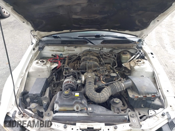 2005 Ford Mustang Deluxe with VIN 1ZVFT84N755253121, listed as a IAAI auction lot 42687235 with Not provided miles and . Bid and sale history available at DreamBid. Image 10.