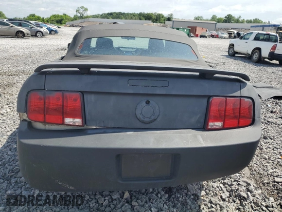 2006 Ford Mustang Standard with VIN 1ZVFT84N865126752, listed as a Copart auction lot 57160965 with Not provided miles and Salvage title. Bid and sale history available at DreamBid. Image 6.