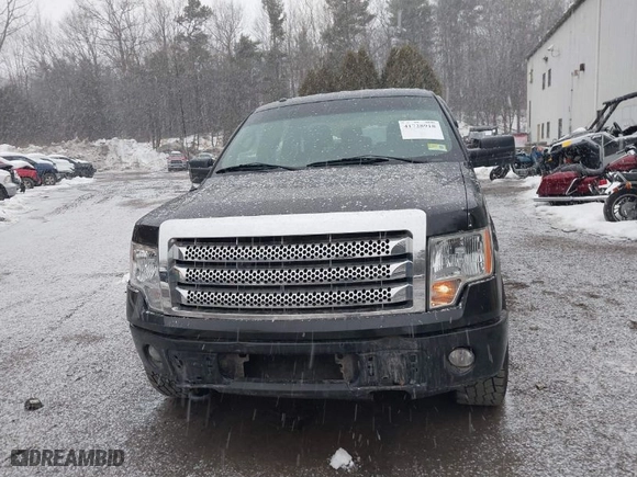 2014 Ford F-150 XL with VIN 1FTFW1EFXEFB24020, listed as a IAAI auction lot 41728918 with 117,729 mi miles. Bid and sale history available at carsss.com. Image 12.