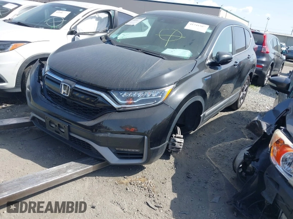 2020 Honda CR-V EX with VIN 7FART6H51LE019894, listed as a IAAI auction lot 41741587 with Not Provided miles and . Bid and sale history available at DreamBid. Image 20.