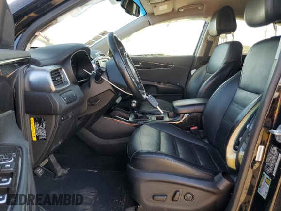 2016 Kia Sorento EX with VIN 5XYPH4A12GG022916, listed as a Copart auction lot 74190654 with 123,240 mi miles and Non Repairable. Bid and sale history available at DreamBid. Image 7.
