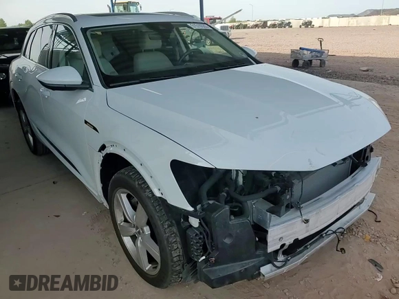 2019 Audi e-tron Prestige z VIN WA1VAAGEXKB014256, wystawiony jako Copart lot #51510555 z przebiegiem 13 692 mil mil oraz Szkoda całkowita • Salvage title. Historia ofert i sprzedaży dostępna na DreamBid. Obrazek 12.