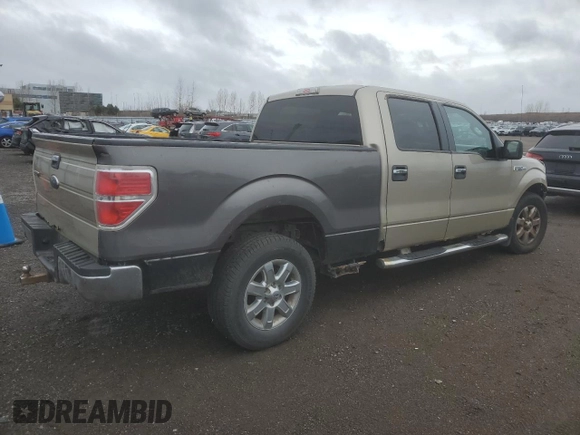 2009 Ford F-150 XL with VIN 1FTRW14869FA71127, listed as a Copart auction lot 81552544 with Not provided miles and Salvage title. Bid and sale history available at DreamBid. Image 3.
