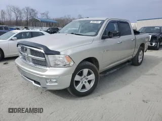 2009 Dodge 1500 SLT with VIN 1D3HV13T89J530876, listed as a Copart auction lot 48057665 with 146,212 mi miles and Salvage Title. Bid and sale history available at carsss.com. Image 1.