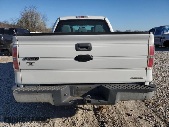 2011 Ford F-150 XL with VIN 1FTEX1CM8BFB66899, listed as a Copart auction lot 49208755 with 216,316 mi miles and Clean Title. Bid and sale history available at carsss.com. Image 6.