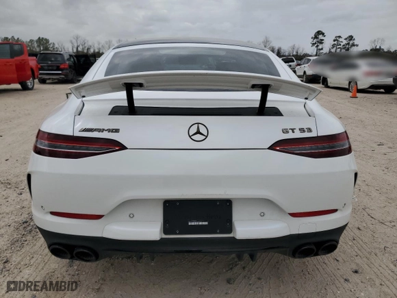 2024 Mercedes-Benz AMG GT with VIN W1K7X6BB8RV000216, listed as a Copart auction lot 48496305 with NaN miles and Salvage Title. Bid and sale history available at carsss.com. Image 6.