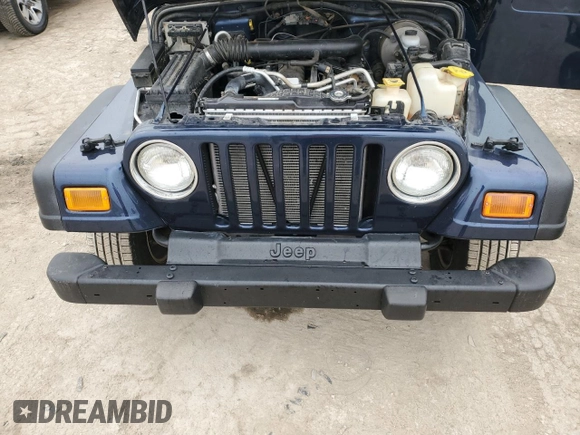 2001 Jeep Wrangler Sport with VIN 1J4FA49S91P341578, listed as a Copart auction lot 43831495 with 139,734 mi miles and Salvage Title. Bid and sale history available at carsss.com. Image 11.
