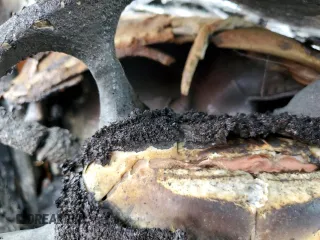 1999 Pontiac Montana z VIN 1GMDX03E2XD172078, wystawiony jako Copart lot #59478494 z przebiegiem Nie podano mil oraz Nie do naprawy • Non repairable. Historia ofert i sprzedaży dostępna na DreamBid. Obrazek 9.