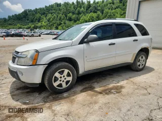 2006 Chevrolet Equinox LS z VIN 2CNDL13F566205002, wystawiony jako Copart lot #63981895 z przebiegiem 230 107 mil mil oraz Szkoda całkowita • Salvage title. Historia ofert i sprzedaży dostępna na DreamBid. Obrazek 1.