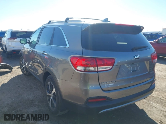 2017 Kia Sorento EX with VIN 5XYPH4A17HG247480, listed as a IAAI auction lot 41451143 with 124,423 mi miles and . Bid and sale history available at DreamBid. Image 3.