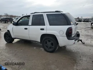 2007 Chevrolet TrailBlazer LS with VIN 1GNDS13S572165188, listed as a Copart auction lot 89381025 with Not Provided miles and Salvage Title. Bid and sale history available at DreamBid. Image 2.