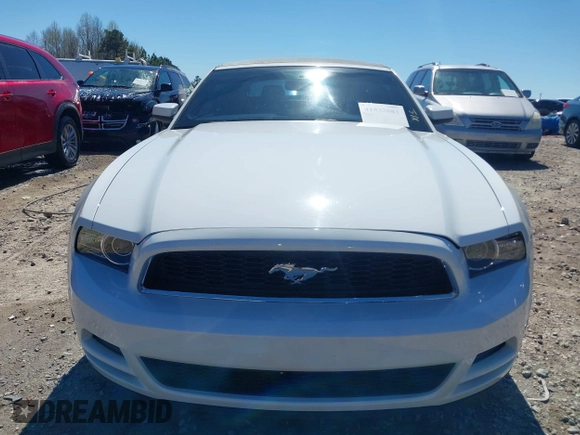 2014 Ford Mustang V6 z VIN 1ZVBP8EM5E5213273, wystawiony jako IAAI lot #41833081 z przebiegiem 123 857 mil mil oraz . Historia ofert i sprzedaży dostępna na DreamBid. Obrazek 13.