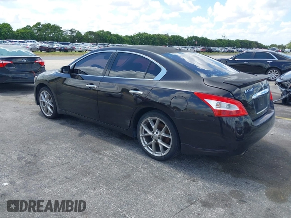 2010 Nissan Maxima SV with VIN 1N4AA5AP5AC826827, listed as a IAAI auction lot 42538366 with 211,145 mi miles and . Bid and sale history available at DreamBid. Image 3.