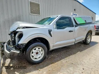 2021 Ford F-150 XL with VIN 1FTMF1C53MKE06085, listed as a Copart auction lot 59602245 with Not provided miles and Clean title. Bid and sale history available at DreamBid. Image 1.