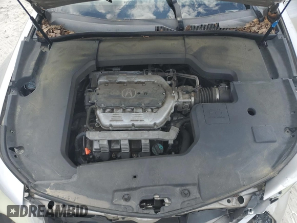 2009 Acura TL Technology z VIN 19UUA86539A013933, wystawiony jako Copart lot #54088335 z przebiegiem 242 120 mil mil oraz Szkoda całkowita • Salvage title. Historia ofert i sprzedaży dostępna na DreamBid. Obrazek 11.