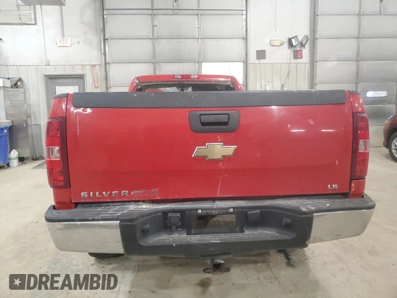 2009 Chevrolet Silverado 1500 Work Truck with VIN 1GCEC14XX9Z220538, listed as a Copart auction lot 48787505 with Not Provided miles and Salvage Title. Bid and sale history available at DreamBid. Image 6.
