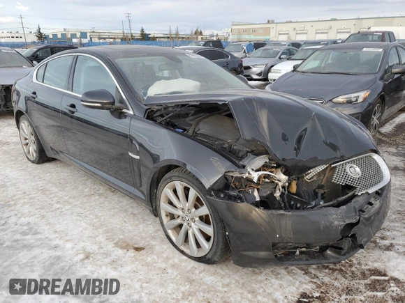 2011 Jaguar XF with VIN SAJXA0FB8BLR95666, listed as a Copart auction lot 87832365 with Not Provided miles and Salvage Title. Bid and sale history available at DreamBid. Image 1.
