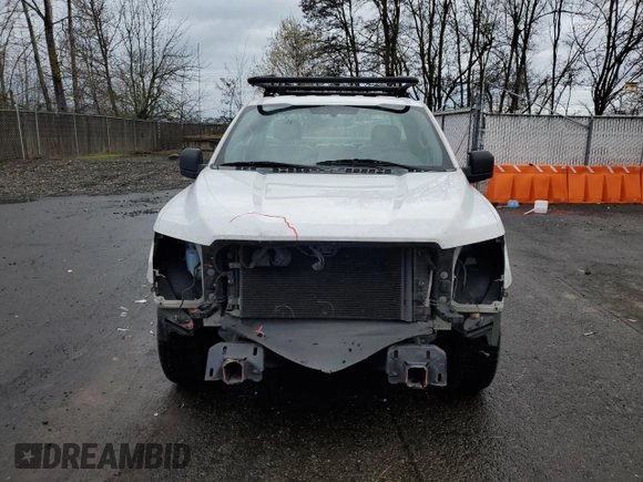 2016 Ford F-150 XL with VIN 1FTMF1C81GKE06200, listed as a Copart auction lot 49088695 with 196,768 mi miles and Salvage Title. Bid and sale history available at carsss.com. Image 5.
