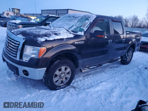 2010 Ford F-150 XL with VIN 1FTFW1EV9AFA55371, listed as a Copart auction lot 84890764 with Not Provided miles and Clean Title. Bid and sale history available at carsss.com. Image 1.