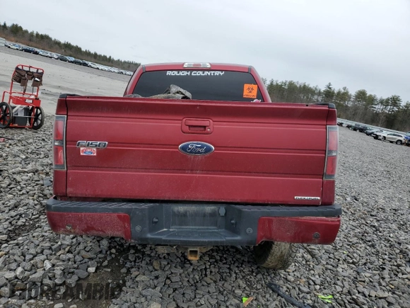 2013 Ford F-150 XL with VIN 1FTFW1EF8DFC82824, listed as a Copart auction lot 50132975 with Not Provided miles and Salvage Title. Bid and sale history available at DreamBid. Image 6.