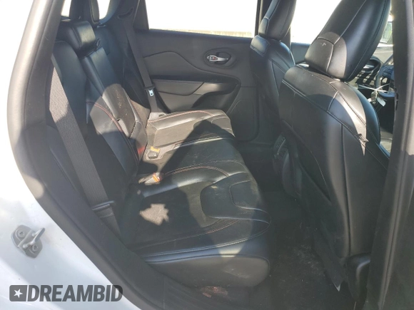 2020 Jeep Cherokee Trailhawk with VIN 1C4PJMBX8LD630827, listed as a Copart auction lot 61975455 with 142,716 mi miles and Clean title. Bid and sale history available at DreamBid. Image 11.