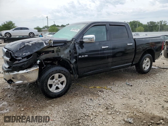 2010 Dodge 1500 SLT with VIN 1D7RV1CP1AS174131, listed as a Copart auction lot 60446704 with 164,653 mi miles and Non Repairable. Bid and sale history available at DreamBid. Image 1.