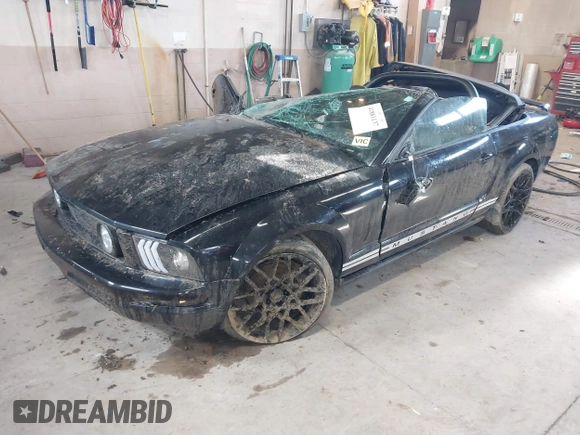 2005 Ford Mustang Deluxe with VIN 1ZVHT84N755243052, listed as a IAAI auction lot 41881137 with 109,366 mi miles and . Bid and sale history available at DreamBid. Image 2.