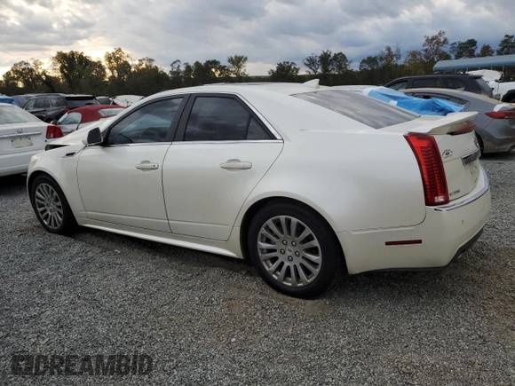 2013 Cadillac CTS Premium with VIN 1G6DP5E39D0120160, listed as a Copart auction lot 76454074 with Not Provided miles and Salvage Title. Bid and sale history available at DreamBid. Image 2.