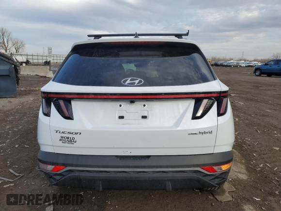 2024 Hyundai Tucson SEL Convenience with VIN KM8JCCD19RU211490, listed as a Copart auction lot 44221925 with 8,105 mi miles and Salvage Title. Bid and sale history available at carsss.com. Image 6.