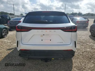 2023 Lexus NX with VIN JTJGDCAZ2P5009827, listed as a Copart auction lot 73701374 with Not Provided miles and Non Repairable. Bid and sale history available at carsss.com. Image 6.