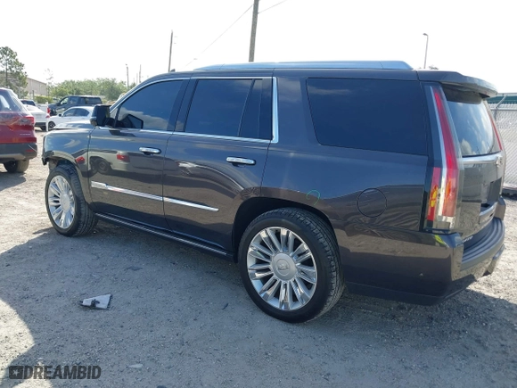 2017 Cadillac Escalade Premium Luxury with VIN 1GYS4CKJ5HR293450, listed as a IAAI auction lot 41951478 with 51,882 mi miles. Bid and sale history available at carsss.com. Image 3.