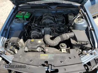 2006 Ford Mustang Standard with VIN 1ZVFT84N165257831, listed as a Copart auction lot 55526005 with 123,603 mi miles and Clean title. Bid and sale history available at DreamBid. Image 12.