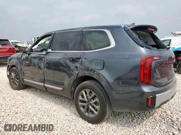 2024 Kia Telluride LX with VIN 5XYP24GC2RG422360, listed as a Copart auction lot 56885035 with Not provided miles and Salvage title. Bid and sale history available at DreamBid. Image 2.
