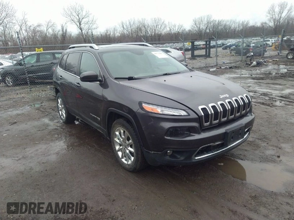 2016 Jeep Cherokee Limited with VIN 1C4PJMDSXGW121091, listed as a IAAI auction lot 41733807 with 196,455 mi miles and . Bid and sale history available at DreamBid. Image 1.