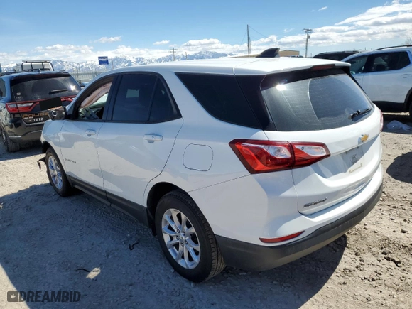 2019 Chevrolet Equinox LS with VIN 3GNAXHEVXKS626192, listed as a Copart auction lot 50269295 with 123,162 mi miles and Salvage Title. Bid and sale history available at carsss.com. Image 2.